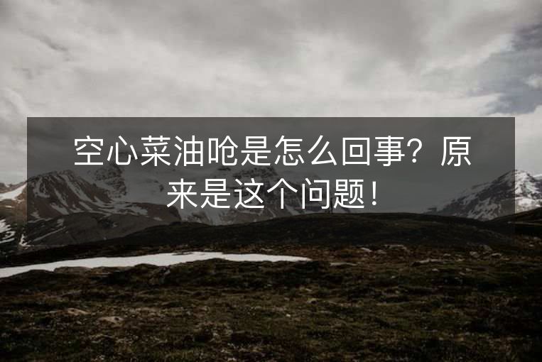 空心菜油呛是怎么回事?原来是这个问题! 空心菜油呛是怎么回事?原来是这个问题!