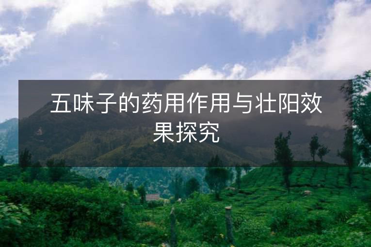 五味子的药用作用与壮阳效果探究 五味子的药用作用与壮阳效果探究